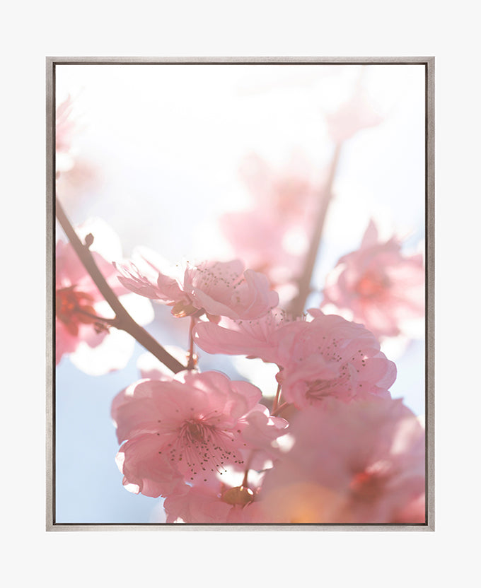 Tranquil Moments VI (Canvas)