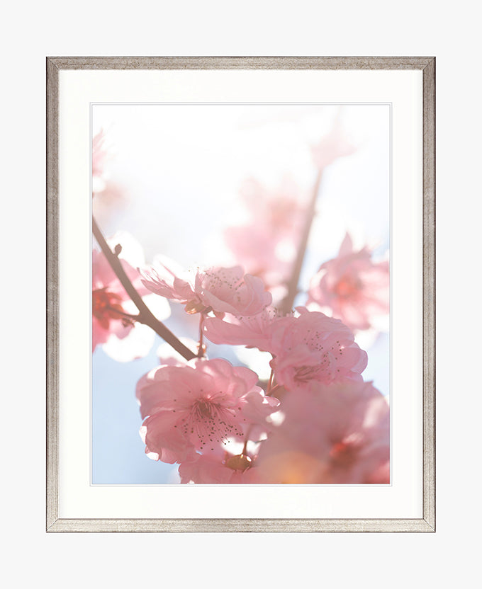 Tranquil Moments VI