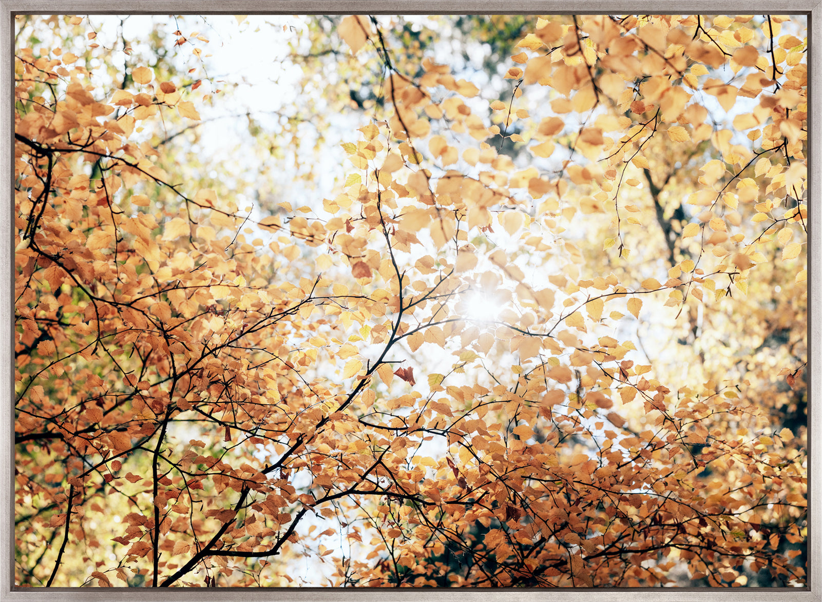 Tranquil Moments VII (Canvas)