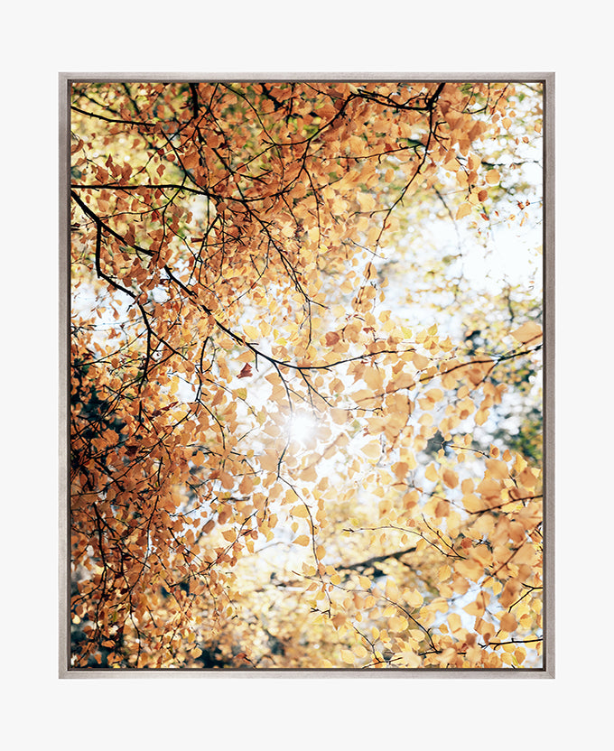 Tranquil Moments VII (Canvas)