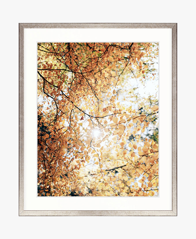 Tranquil Moments VII
