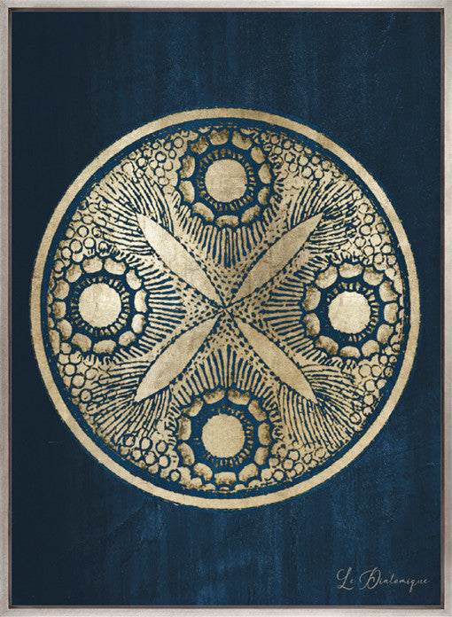 Le Diatomee I (Canvas)