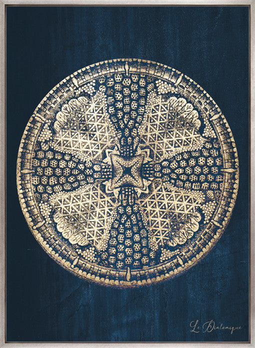 Le Diatomee III (Canvas)