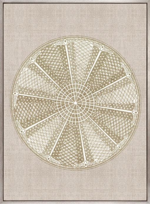 Le Diatomee VI (Canvas)