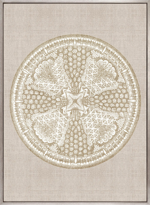 Le Diatomee VII (Canvas)