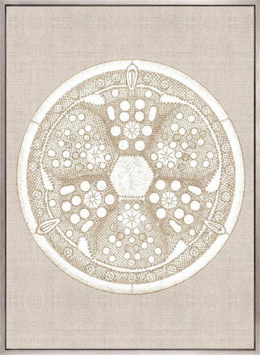 Le Diatomee VIII (Canvas)