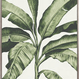 Tranquil Tropics I (Canvas) Large (903mm W x 1109mm H)