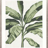 Tranquil Tropics I Small (465mm W x 560mm H) / Standard Clear Glass