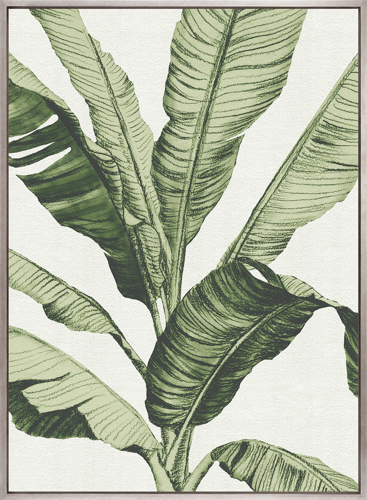 Tranquil Tropics III (Canvas)