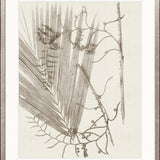 Delicate Frond XI (Taupe)