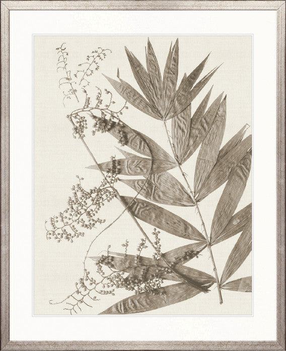 Delicate Frond XII (Taupe)
