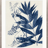 Delicate Frond VI (Indigo)