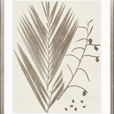 Delicate Frond VII (Taupe)