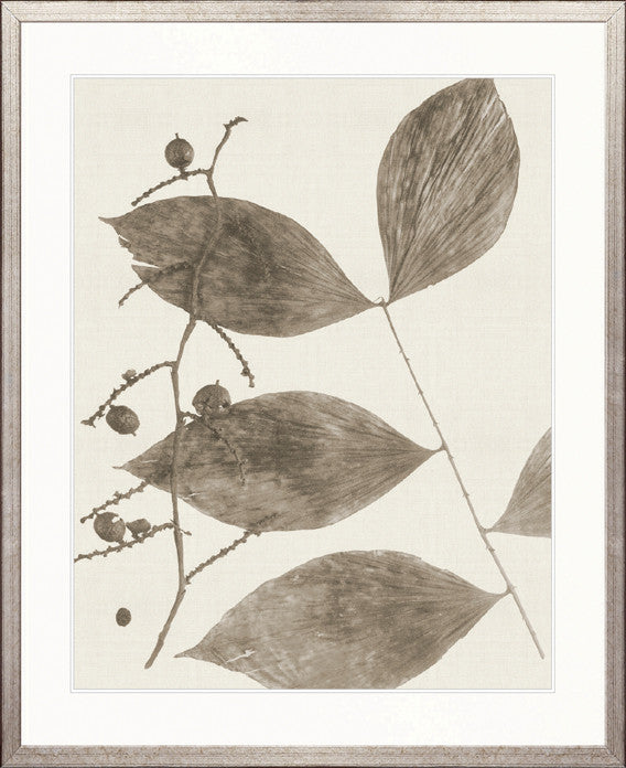 Delicate Frond VIII (Taupe)
