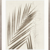 Delicate Frond IX (Taupe)