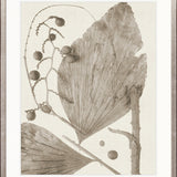 Delicate Frond X (Taupe)
