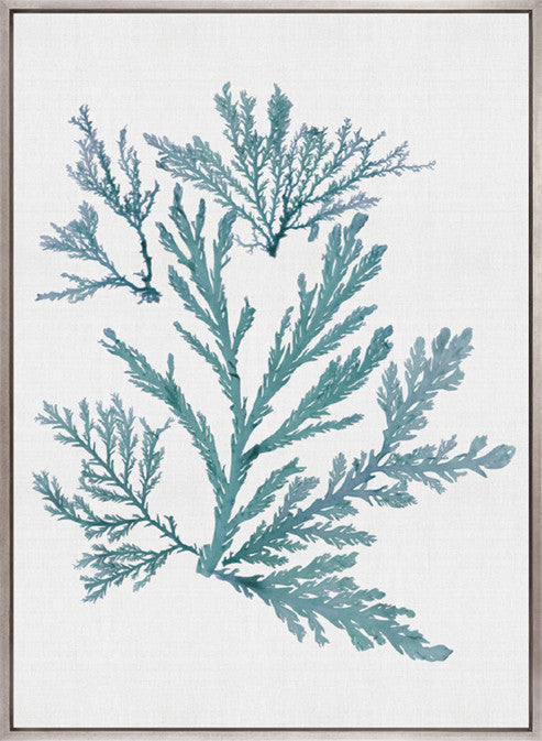 Seaweed Subject I (Blue) (Canvas)