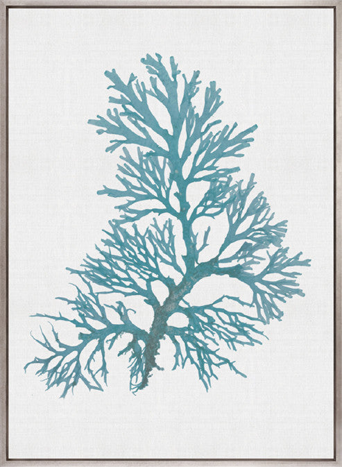 Seaweed Subject V (Blue) (Canvas)