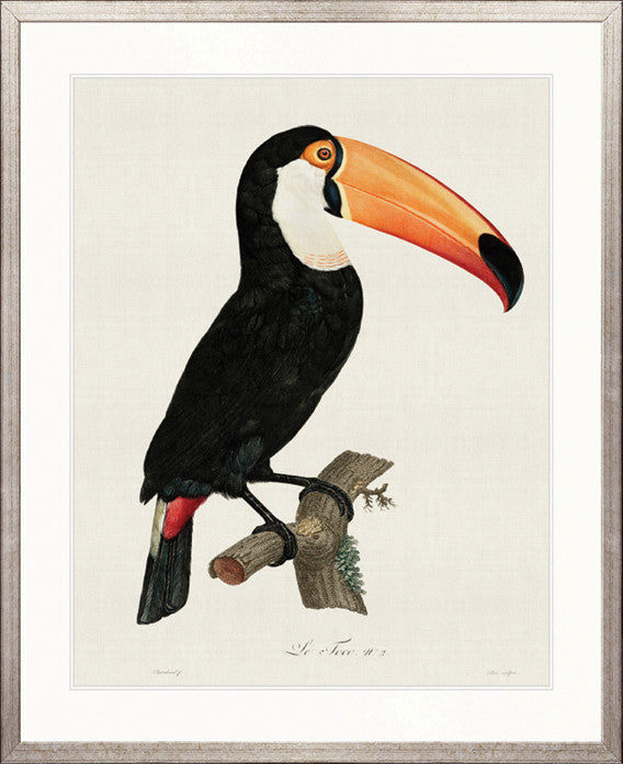 Forest Bird I