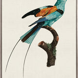 Forest Bird II (Canvas)