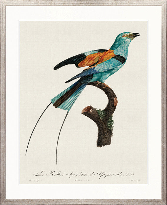 Forest Bird II