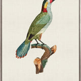 Forest Bird III (Canvas)