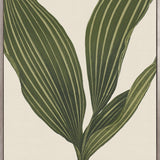 Viridi Foliage I (Canvas) Large (903mm W x 1109mm H)