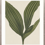Viridi Foliage I Small (465mm W x 560mm H) / Standard Clear Glass