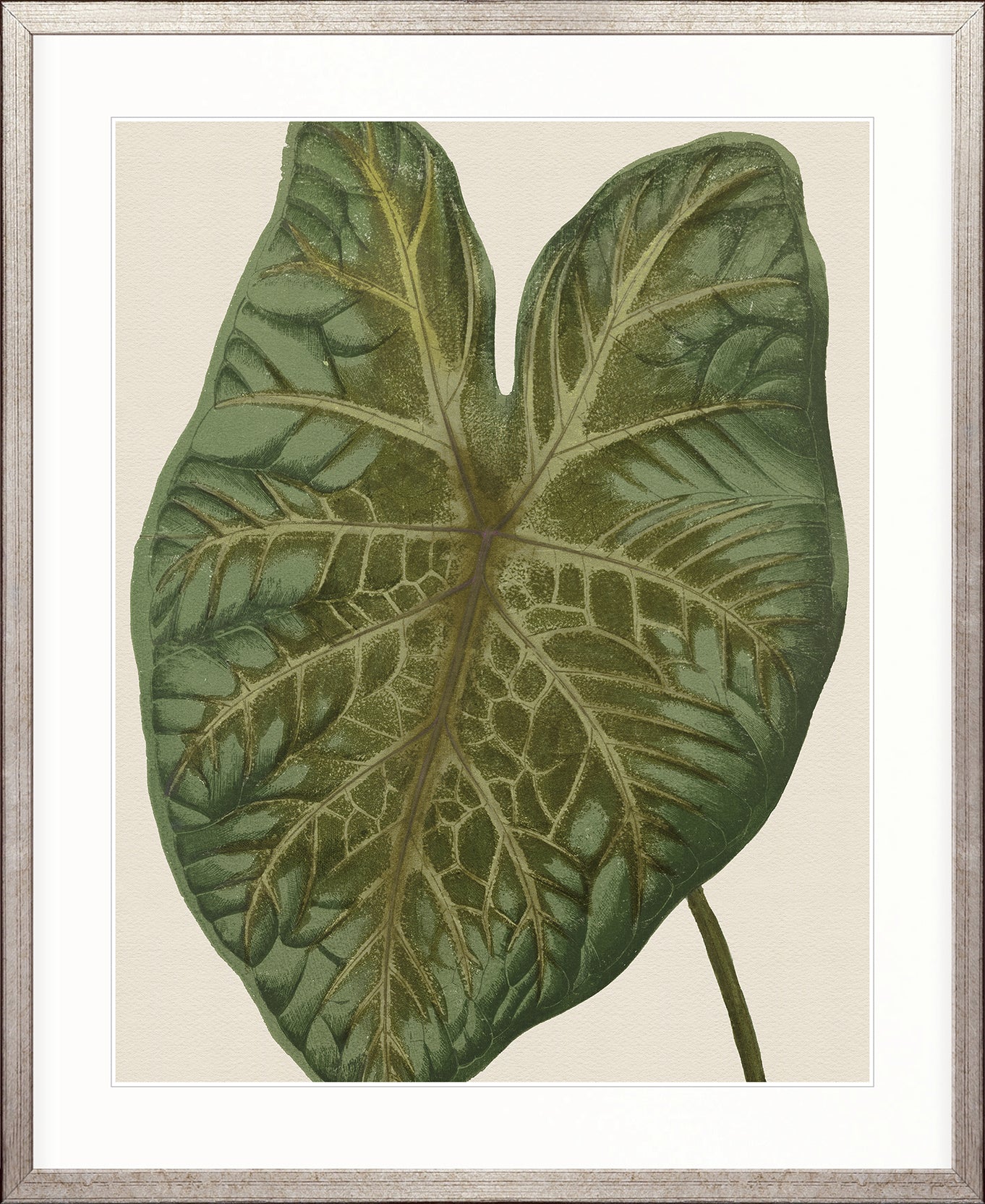 Viridi Foliage II