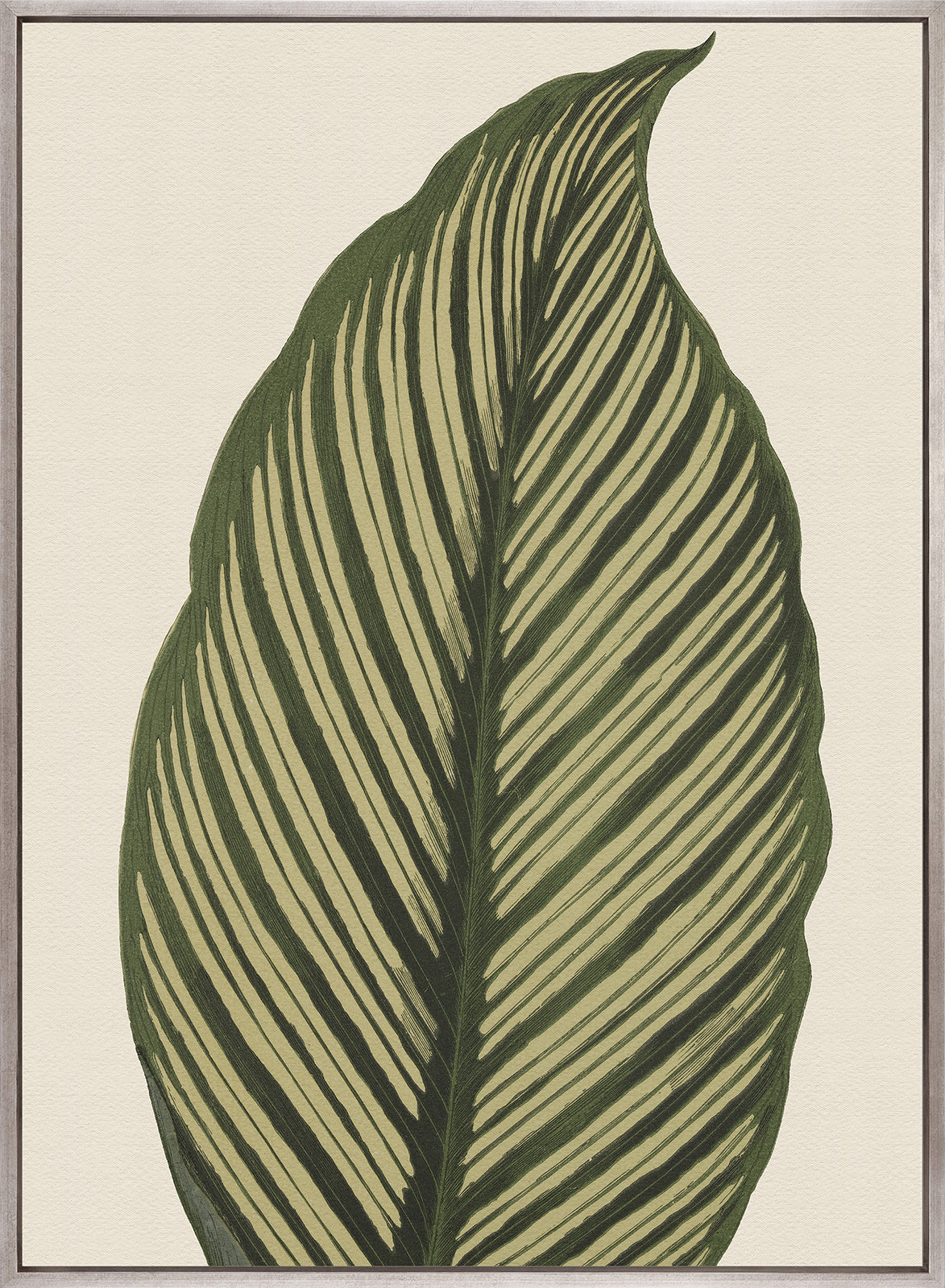 Viridi Foliage III (Canvas)