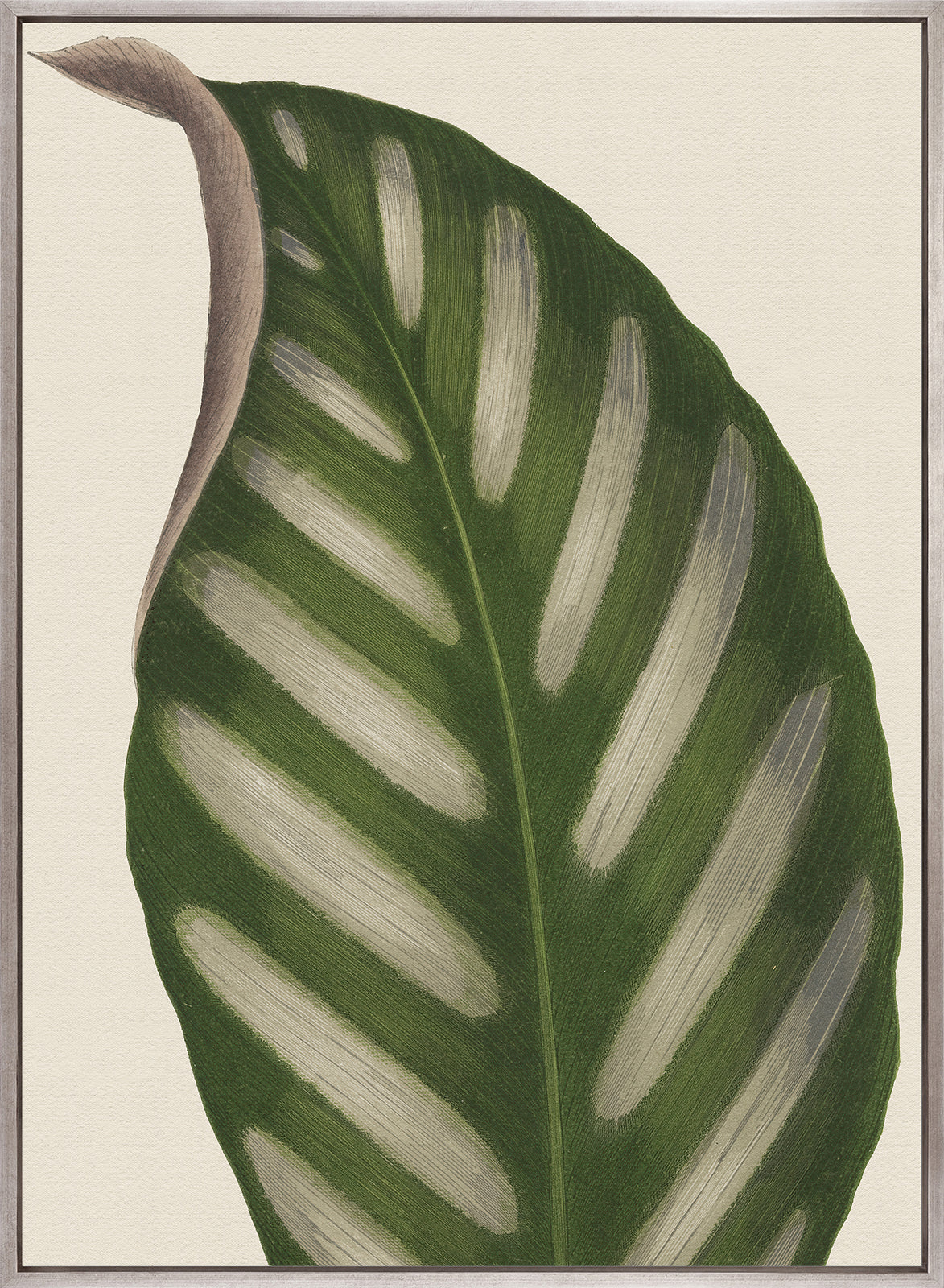 Viridi Foliage IV (Canvas)