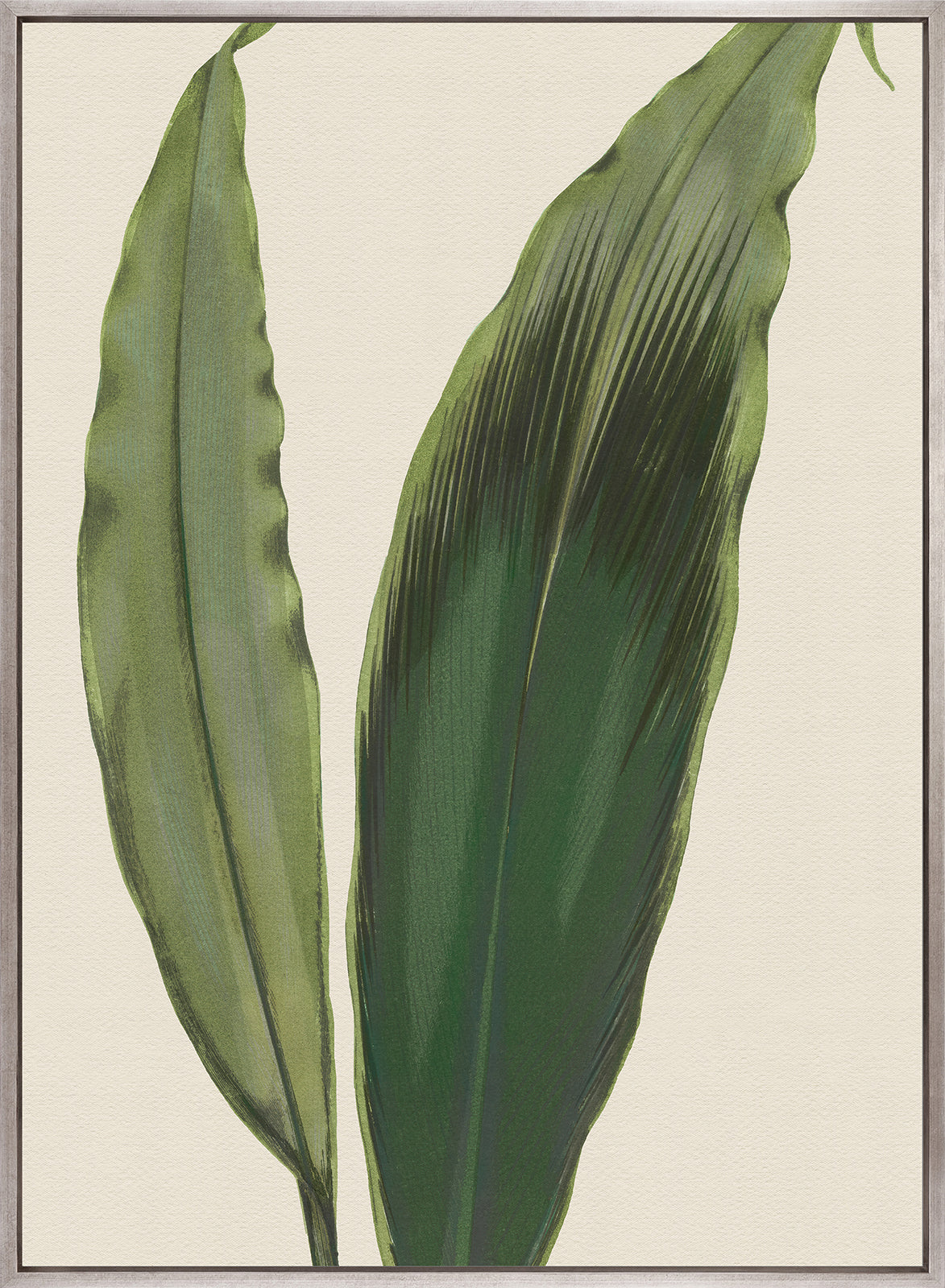 Viridi Foliage V (Canvas)