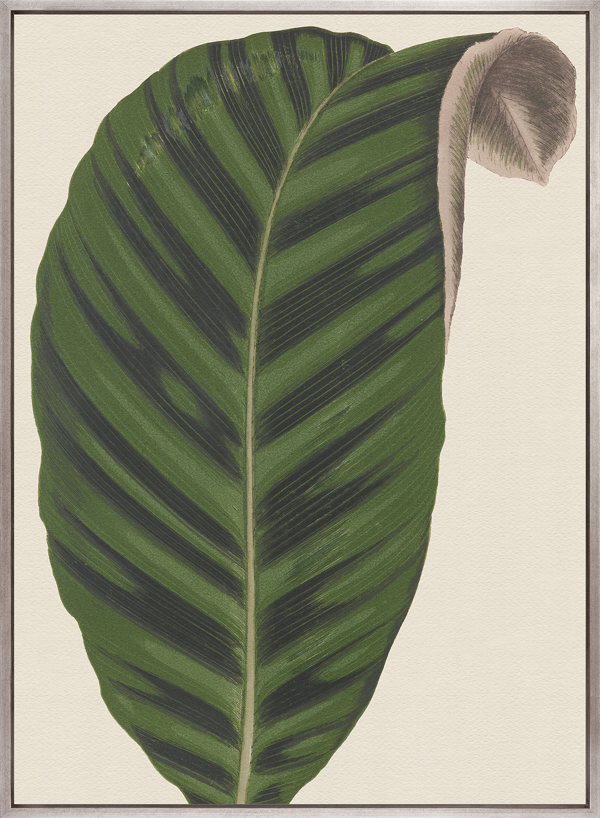 Viridi Foliage VI (Canvas)