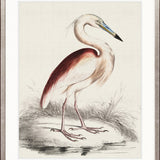 Vintage Waterbird I