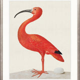 Vintage Waterbird IV