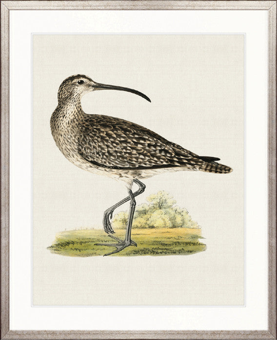 Vintage Waterbird V