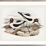 Vintage Waterbird IX