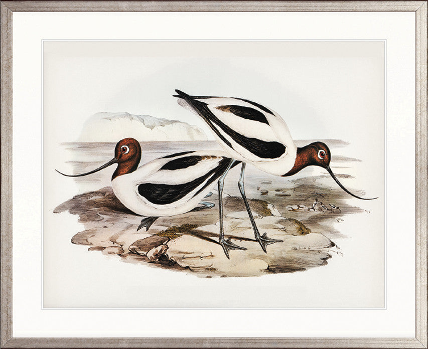 Vintage Waterbird IX
