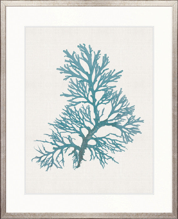 Seaweed Subject V (Blue)