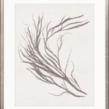 Seaweed Subject XV (Taupe)