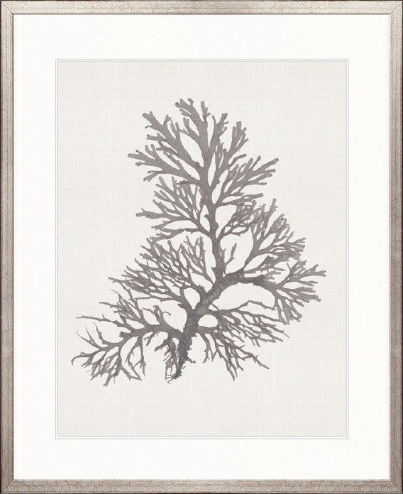 Seaweed Subject XVII (Taupe)