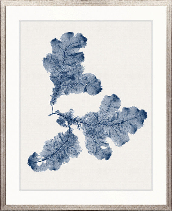 Seaweed Subject XX (Indigo)