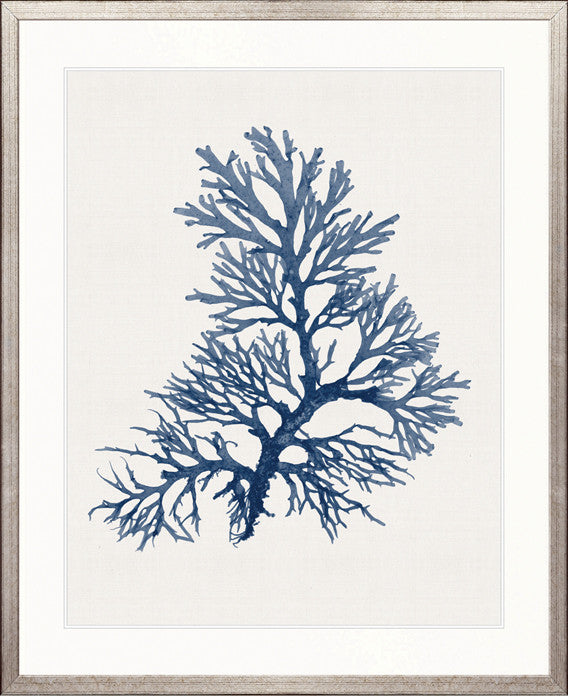 Seaweed Subject XXIII (Indigo)
