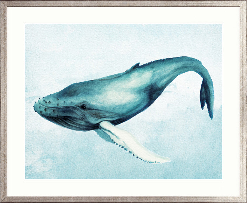Whale Tales II