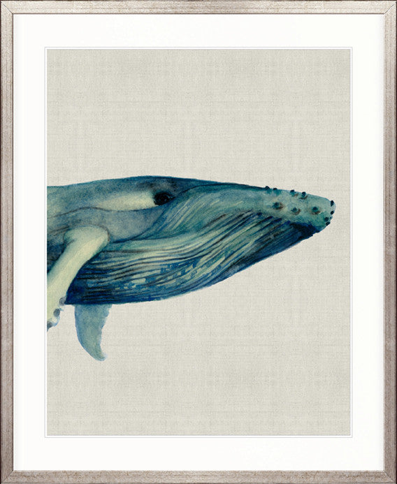 Whale Tales VI