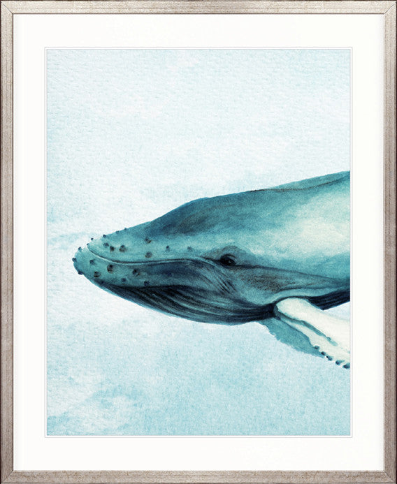 Whale Tales XI