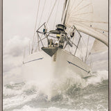 Whittington Sail IV (Canvas)