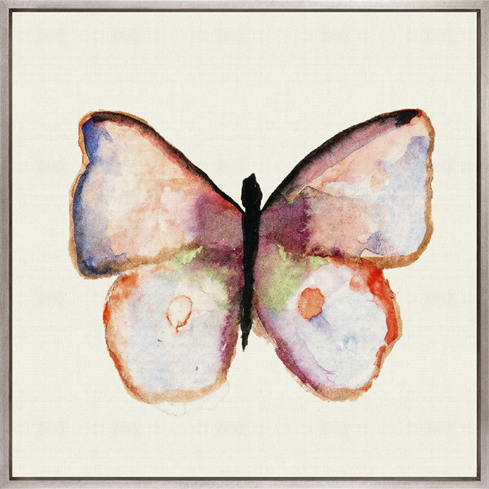 Delicate Butterfly I (Canvas)