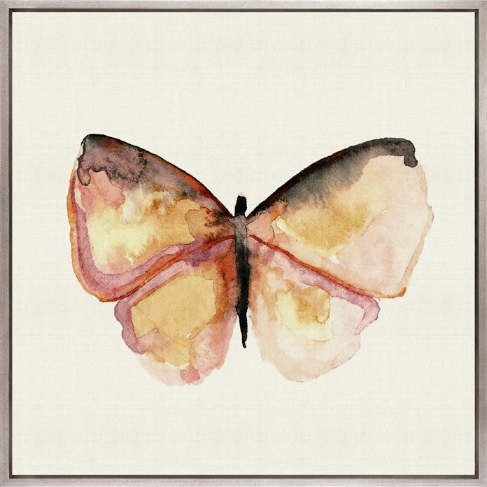 Delicate Butterfly III (Canvas)