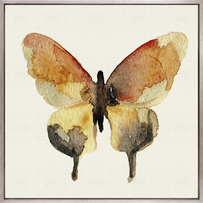 Delicate Butterfly VI (Canvas)